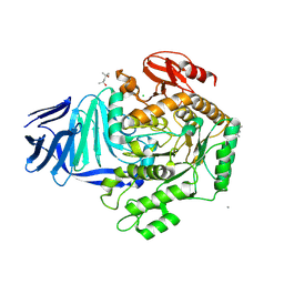 BU of 5aeg by Molmil