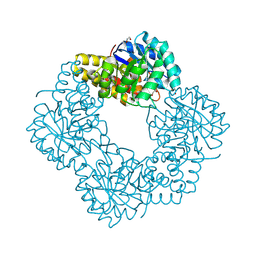 BU of 5afd by Molmil