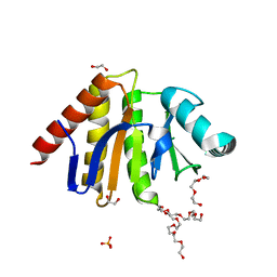 BU of 5ail by Molmil