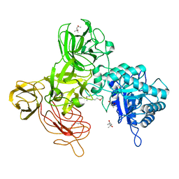 AU of 5ak1 by Molmil