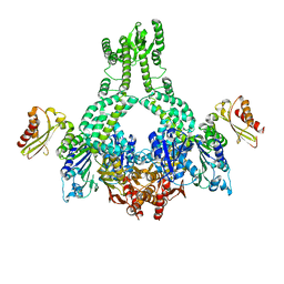 BU of 5akb by Molmil