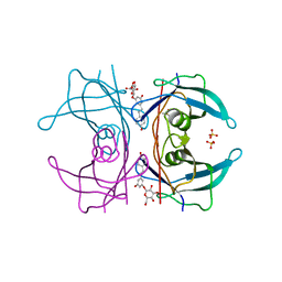 BU of 5aks by Molmil