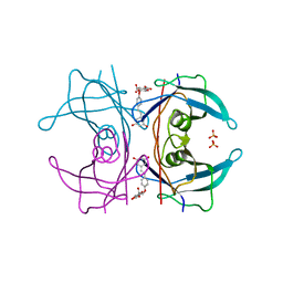 BU of 5akt by Molmil