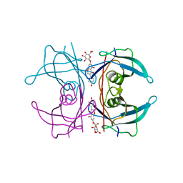 BU of 5akv by Molmil