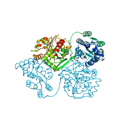 BU of 5ald by Molmil