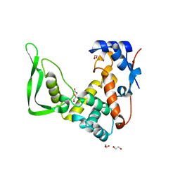 AU of 5azm by Molmil