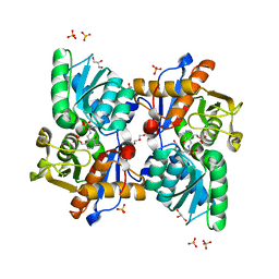 BU of 5b1h by Molmil