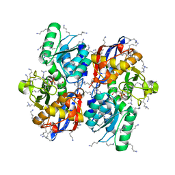 AU of 5b54 by Molmil