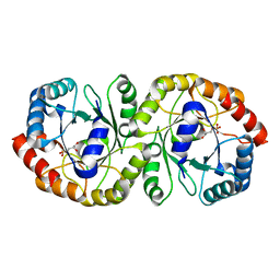 AU of 5b69 by Molmil