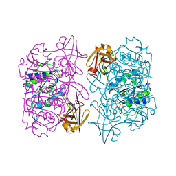 BU of 5b6i by Molmil