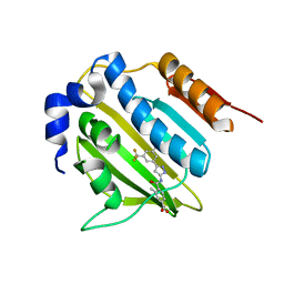 BU of 5boc by Molmil