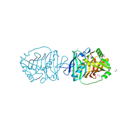 BU of 5bp2 by Molmil