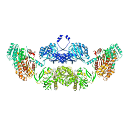 BU of 5bp4 by Molmil