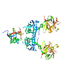 BU of 5bp5 by Molmil