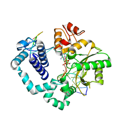 BU of 5bpc by Molmil