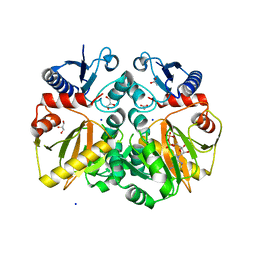 BU of 5bpf by Molmil