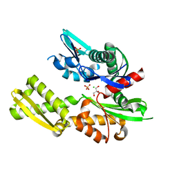 BU of 5bpn by Molmil