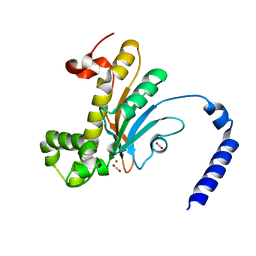 BU of 5bq1 by Molmil