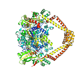 BU of 5btg by Molmil