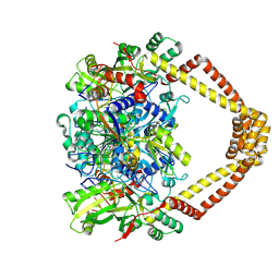 BU of 5bti by Molmil