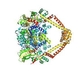 BU of 5btl by Molmil