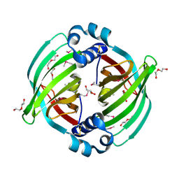 BU of 5btu by Molmil