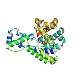 BU of 5bu1 by Molmil