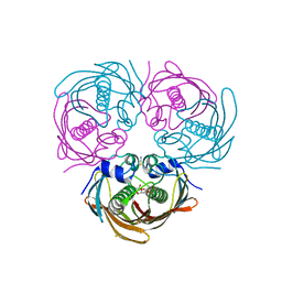 BU of 5bux by Molmil