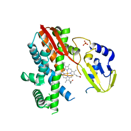 BU of 5bv5 by Molmil