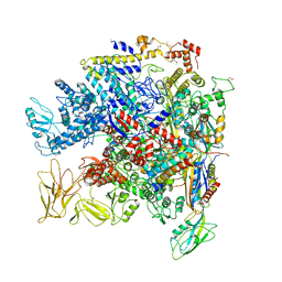 AU of 5byh by Molmil