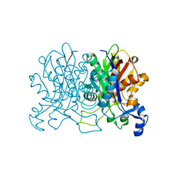 BU of 5c1j by Molmil