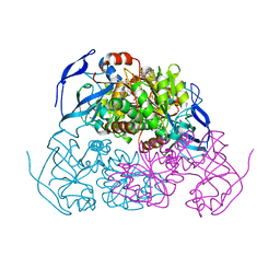 AU of 5c1k by Molmil