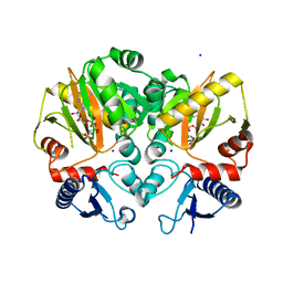 BU of 5c1o by Molmil