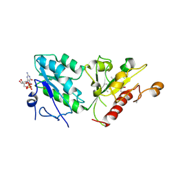 BU of 5c1s by Molmil