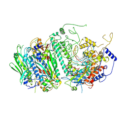 BU of 5c51 by Molmil