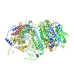 BU of 5c52 by Molmil