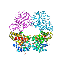 BU of 5c55 by Molmil