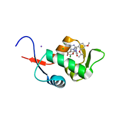 BU of 5c5a by Molmil