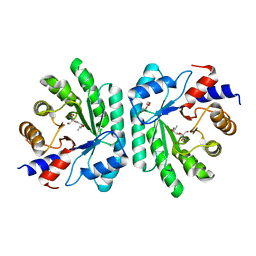 BU of 5c5y by Molmil