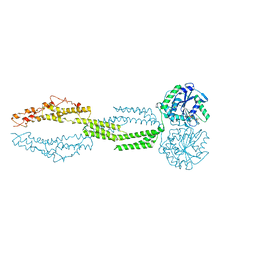 BU of 5cb2 by Molmil