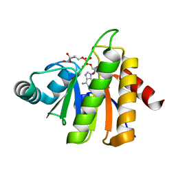 BU of 5cb3 by Molmil