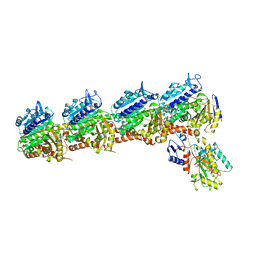 BU of 5cb4 by Molmil