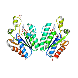 BU of 5cb6 by Molmil