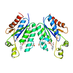 BU of 5cb8 by Molmil