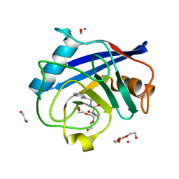 BU of 5cbt by Molmil