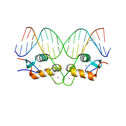 BU of 5cc1 by Molmil