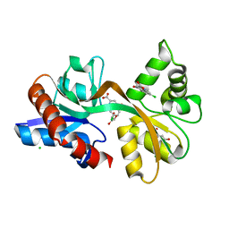 BU of 5cc2 by Molmil