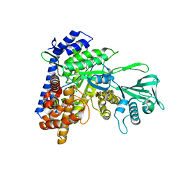 BU of 5cc3 by Molmil