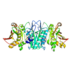 BU of 5cc8 by Molmil