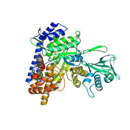 BU of 5ccz by Molmil